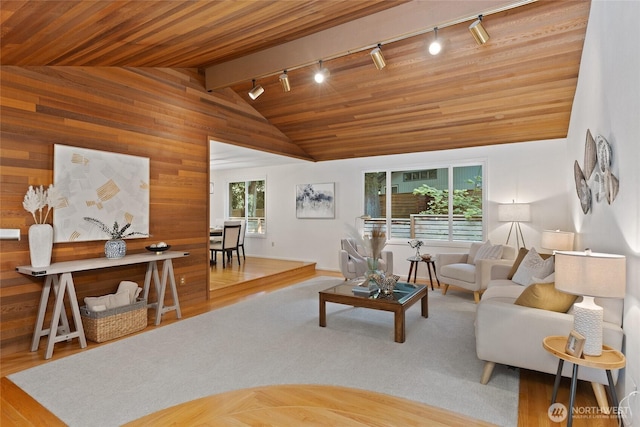 3420 210th Pl NE, Sammamish, WA 98074 - living area with rail lighting, wooden walls, and wood ceiling