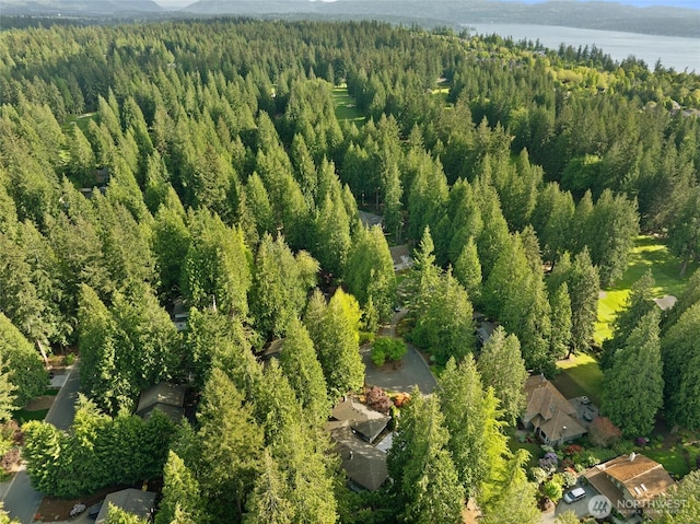 3420 210th Pl NE, Sammamish, WA 98074 - view of property location with a heavily wooded area and a large body of water