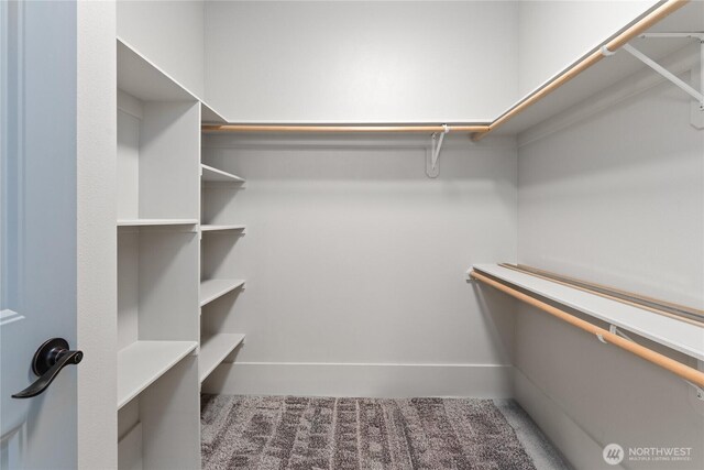 1300 W Marina Dr Unit 33, Moses Lake, WA 98837 - spacious closet with carpet