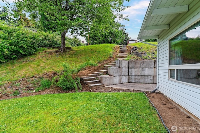 123 Scenic View Dr, Longview, WA 98632 - view of green lawn with stairway