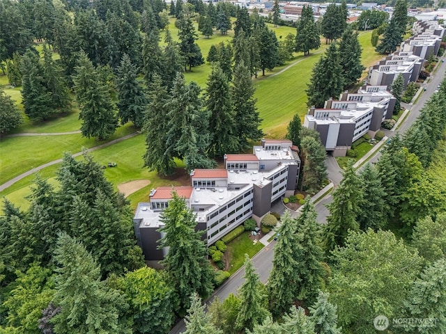 2313 S Cedar St Unit 107, Tacoma, WA 98405 - aerial view of a tree filled landscape