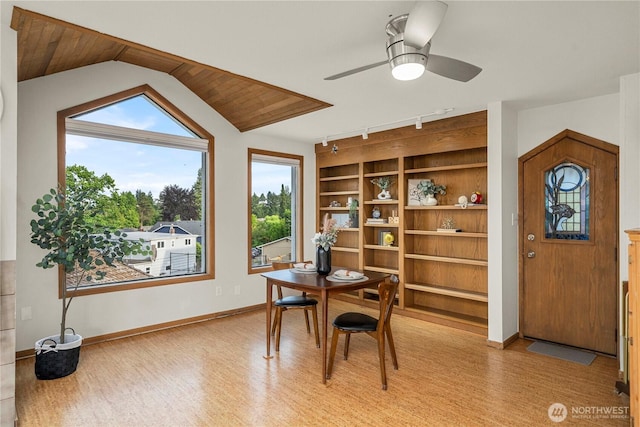 3519 N Union Ave Unit 2, Tacoma, WA 98407 - office with light wood-type flooring, built in shelves, a ceiling fan, rail lighting, and vaulted ceiling