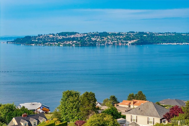 3519 N Union Ave Unit 2, Tacoma, WA 98407 - water view with nearby suburban area