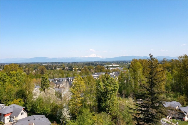 6251 Fernridge Dr, Ferndale, WA 98248 - photo 31