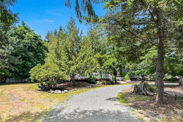 24 Makah Way, La Conner, WA 98257 - view of dirt / gravel driveway