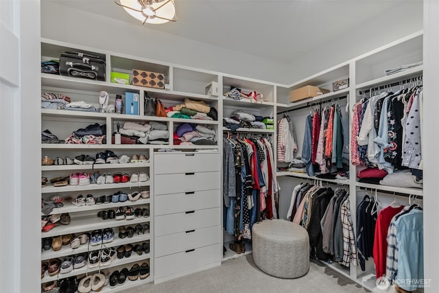 18500 NE 79th, Vancouver, WA 98682 - spacious closet with carpet