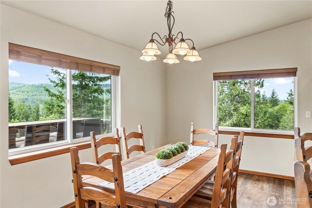 27815 SE 264th St, Ravensdale, WA 98051 - photo 9