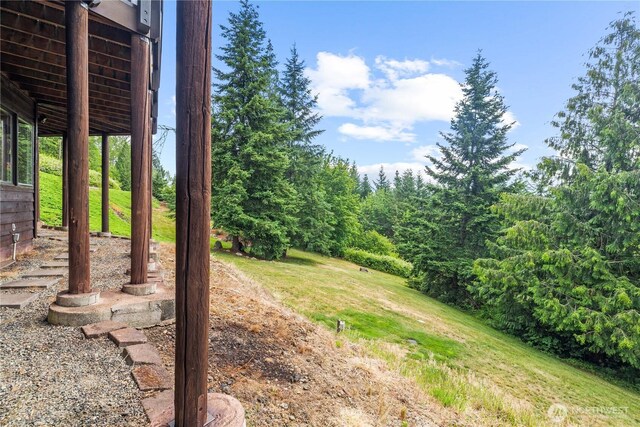 27815 SE 264th St, Ravensdale, WA 98051 - photo 34