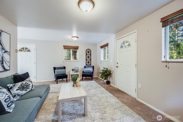 161 W Lakedale Dr, Ronald, WA 98940 - photo 6
