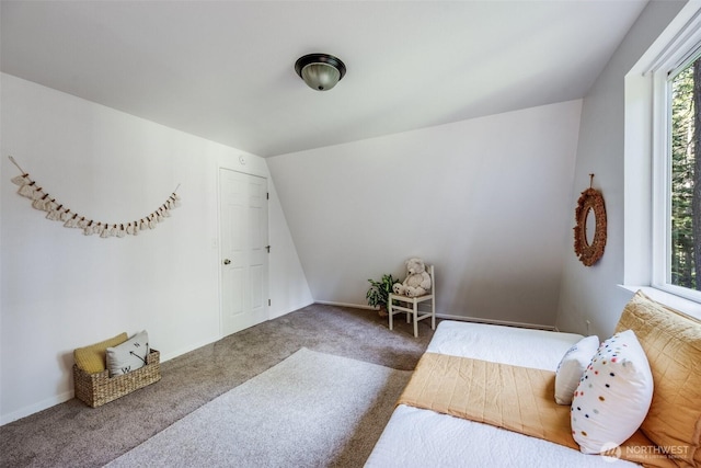 161 W Lakedale Dr, Ronald, WA 98940 - photo 18
