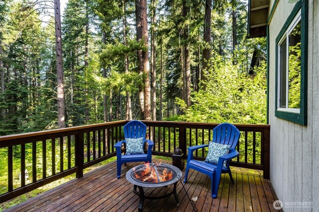 161 W Lakedale Dr, Ronald, WA 98940 - photo 19