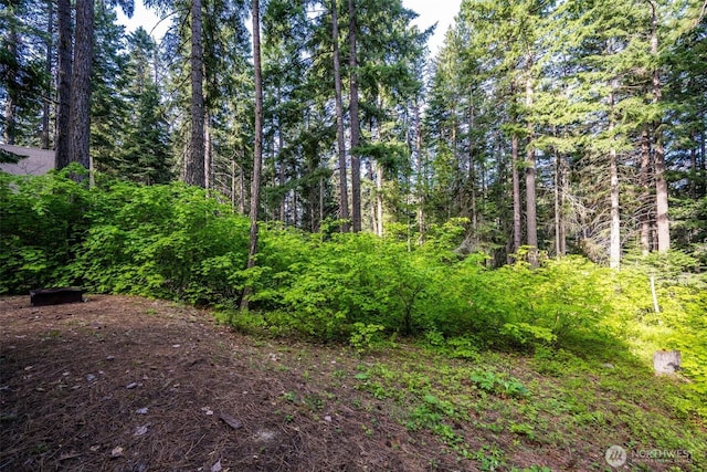 161 W Lakedale Dr, Ronald, WA 98940 - photo 23