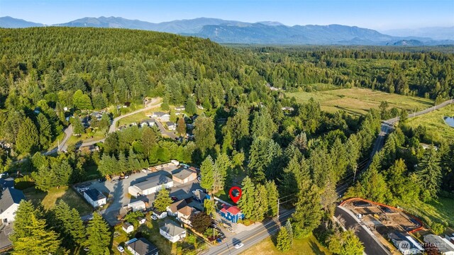32808 3rd Ave, Black Diamond, WA 98010 - photo 33