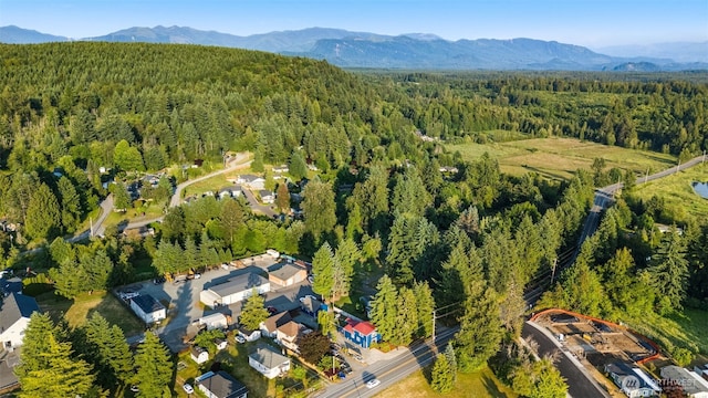 32808 3rd Ave, Black Diamond, WA 98010 - photo 34