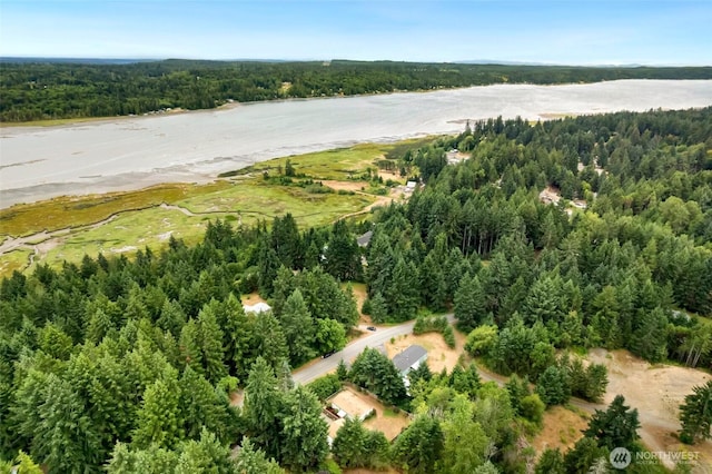 521 NE Larson Lake Rd, Belfair, WA 98528 - photo 25