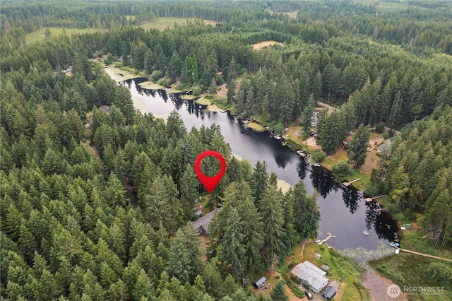 9910 Fairview Lake Rd SW, Port Orchard, WA 98367 - aerial overview of property's location featuring a forest and a nearby body of water