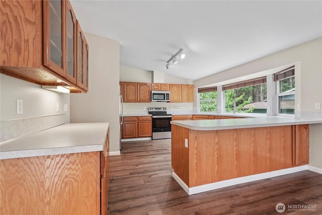 9910 Fairview Lake Rd SW, Port Orchard, WA 98367 - kitchen featuring stainless steel appliances, lofted ceiling, a peninsula, track lighting, and dark wood finished floors