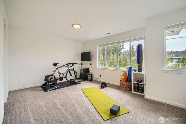 32994 Cedar Ave SE, Black Diamond, WA 98010 - photo 25