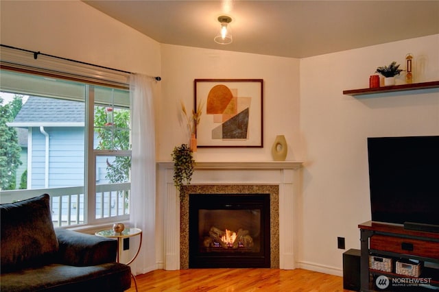 4031 Alyssa Ct, Bellingham, WA 98226 - living area with a glass covered fireplace and wood finished floors
