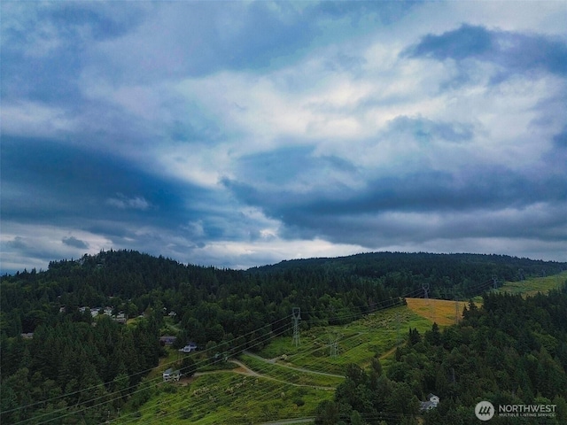 4031 Alyssa Ct, Bellingham, WA 98226 - view of mountain background featuring a forest