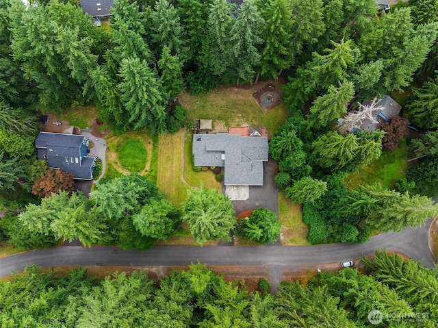 4218 229th Ave NE, Redmond, WA 98053 - photo 4