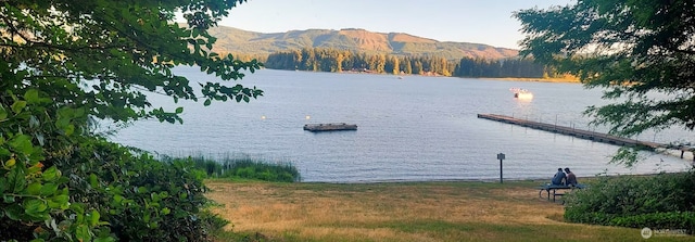 17311 154th Way SE, Yelm, WA 98597 - water view with a mountainous background