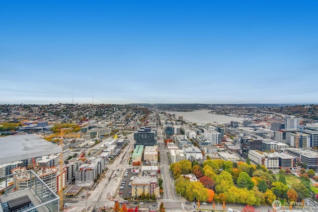 655 Crockett St Unit B304, Seattle, WA 98109 - view of urban area