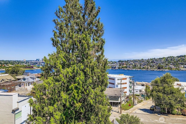 655 Crockett St Unit B304, Seattle, WA 98109 - water view