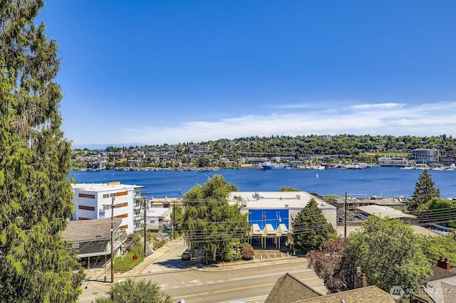 655 Crockett St Unit B304, Seattle, WA 98109 - water view
