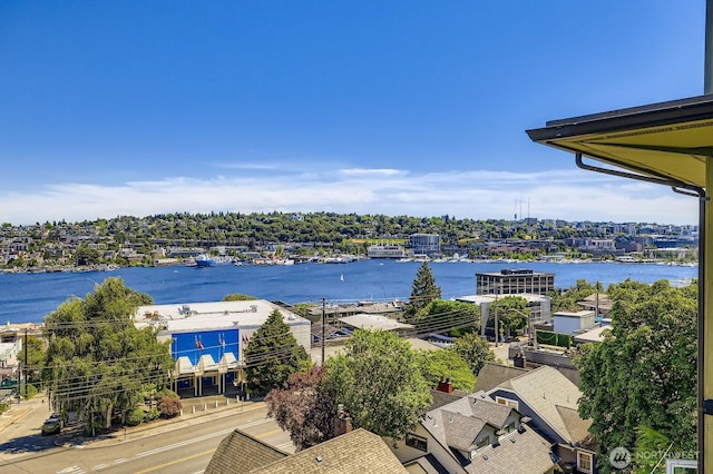 655 Crockett St Unit B304, Seattle, WA 98109 - water view