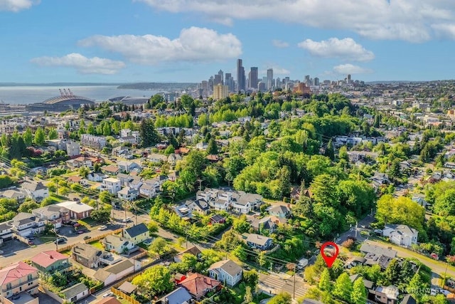 2216 18th Ave S, Seattle, WA 98144 - bird's eye view of city skyline