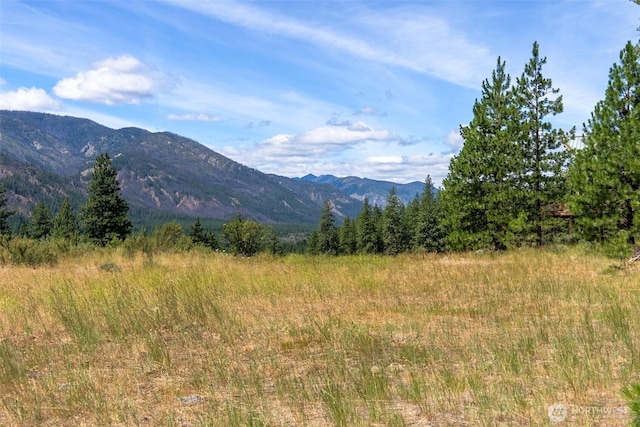 58 Homestead Rd, Winthrop, WA 98862 - photo 1
