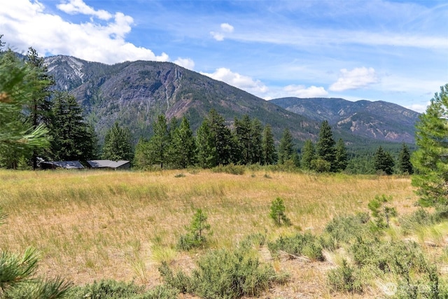 58 Homestead Rd, Winthrop, WA 98862 - photo 2