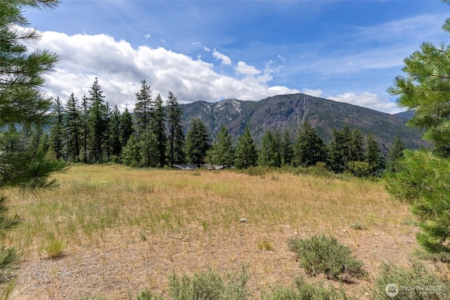 58 Homestead Rd, Winthrop, WA 98862 - photo 3
