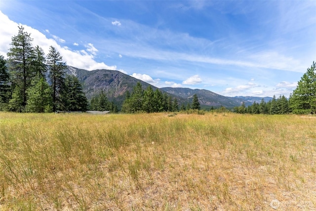 58 Homestead Rd, Winthrop, WA 98862 - photo 21