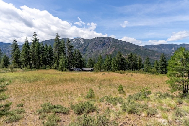 58 Homestead Rd, Winthrop, WA 98862 - photo 22