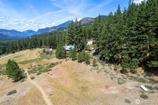 58 Homestead Rd, Winthrop, WA 98862 - photo 20