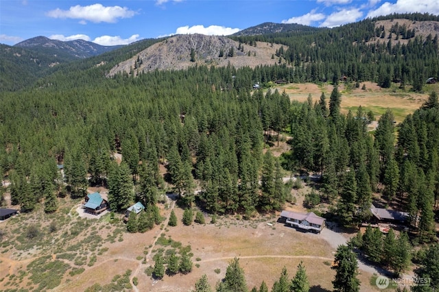 58 Homestead Rd, Winthrop, WA 98862 - photo 5