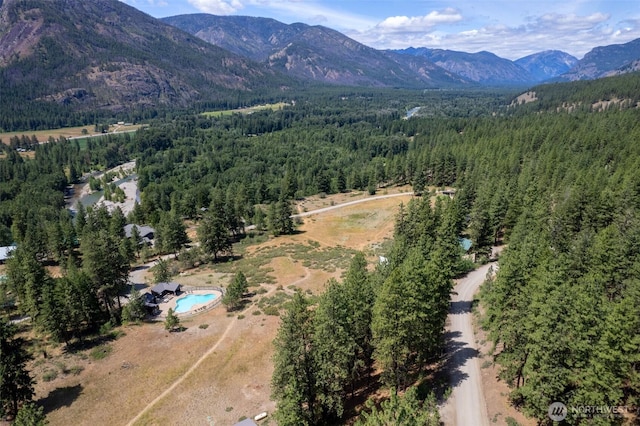 58 Homestead Rd, Winthrop, WA 98862 - photo 7