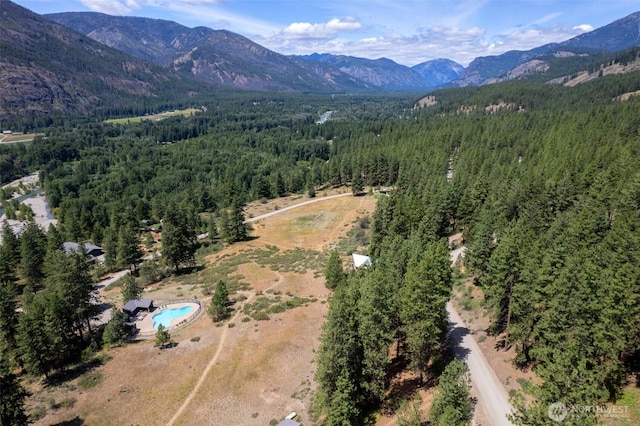 58 Homestead Rd, Winthrop, WA 98862 - photo 18
