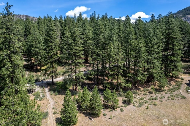 58 Homestead Rd, Winthrop, WA 98862 - photo 9
