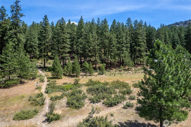 58 Homestead Rd, Winthrop, WA 98862 - photo 10