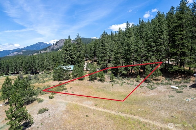 58 Homestead Rd, Winthrop, WA 98862 - photo 11