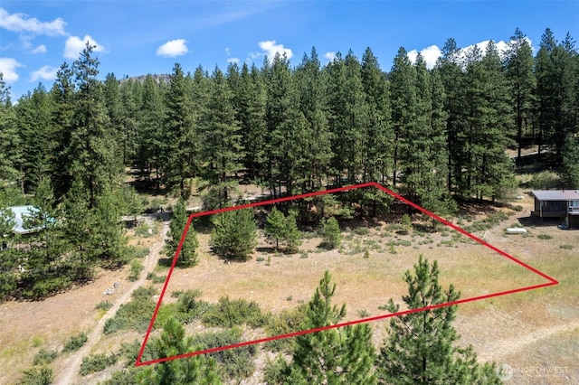 58 Homestead Rd, Winthrop, WA 98862 - photo 12