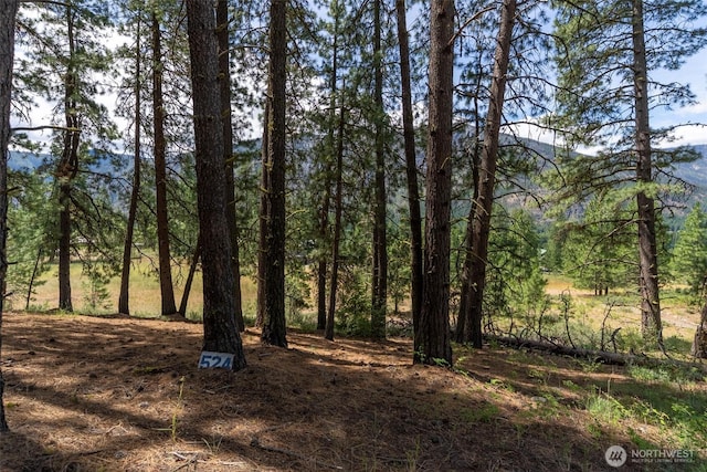 58 Homestead Rd, Winthrop, WA 98862 - photo 15