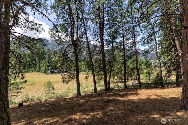 58 Homestead Rd, Winthrop, WA 98862 - photo 16