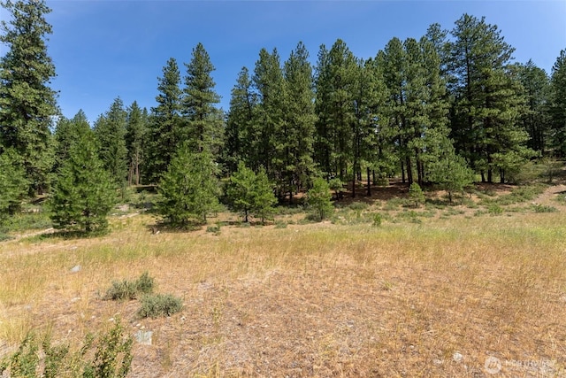 58 Homestead Rd, Winthrop, WA 98862 - photo 17