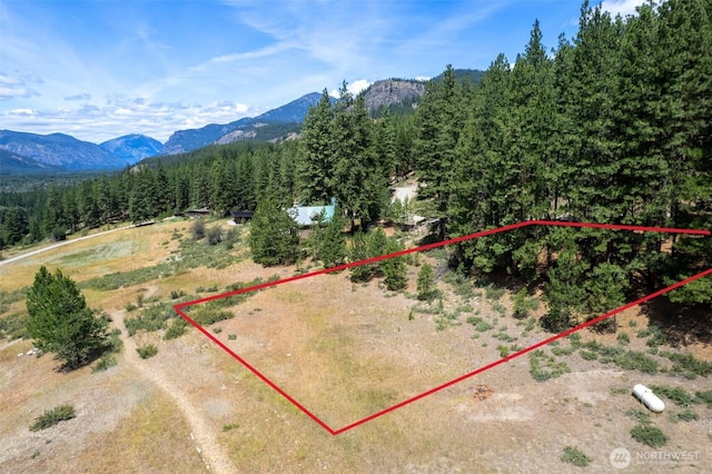 58 Homestead Rd, Winthrop, WA 98862 - photo 4