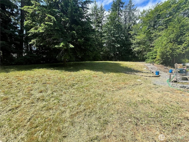 24625 120th Avenue Ct E, Graham, WA 98338 - photo 3