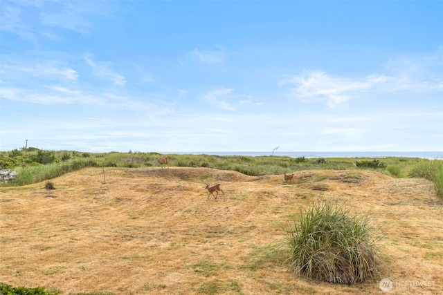 32601 G St, Ocean Park, WA 98640 - photo 10